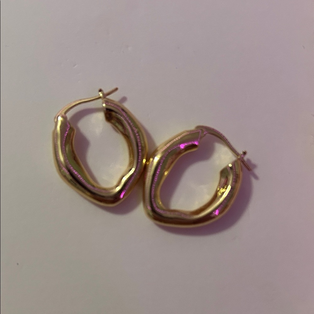 Elegant Gold Hoop Earrings
